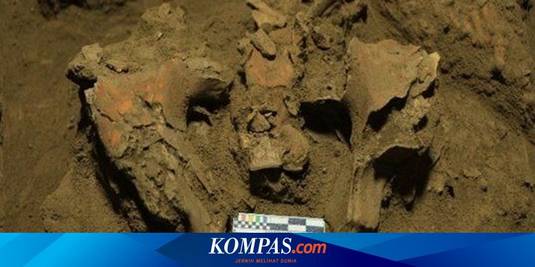 Mengungkap Misteri "Besse" Kerangka Perempuan Berusia 7.200 Tahun di Leang Panninge Sulawesi - Vimarsana News