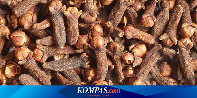 Meremajakan Cengkeh Memupuk Harapan Halaman All Kompas Com