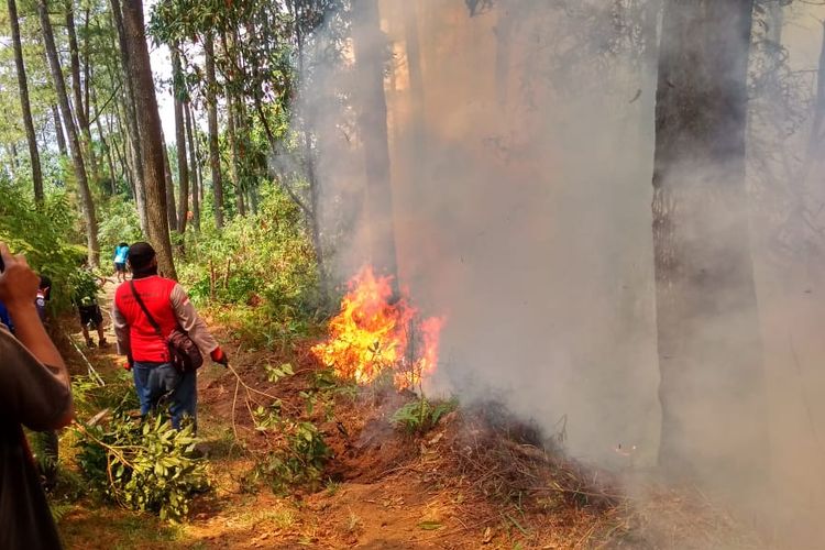 Dengan menggunakan alat manual, petugas berupaya memadamkan api di areal Candi Gedongsongo
