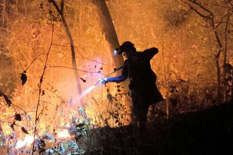 5 Hektare Lahan Hutan Rakyat Gunung Bancak di Magetan Terbakar, Butuh 4 Jam Pemadaman