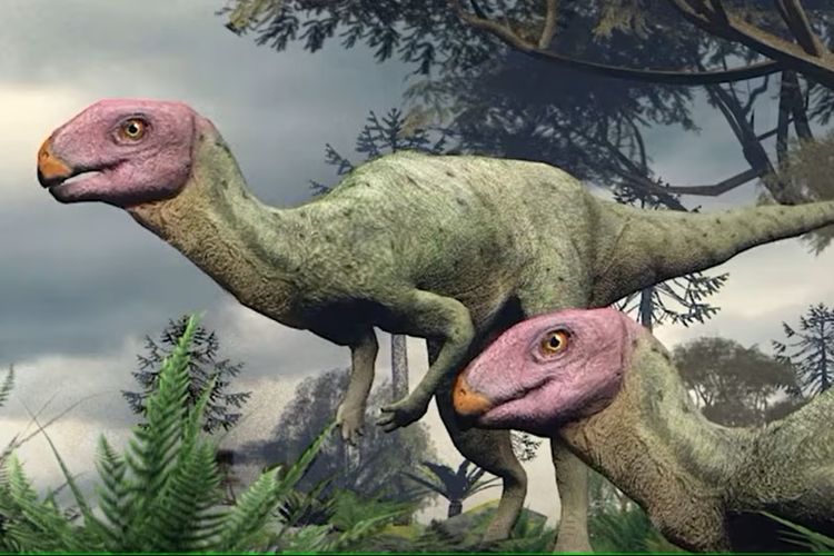 Beginilah penampakan dinosaurus yang ditemukan di Thailand tersebut 150 juta tahun lalu.