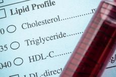 Mengenal Hiperlipidemia, Masalah Kesehatan Akibat Kelebihan Lemak