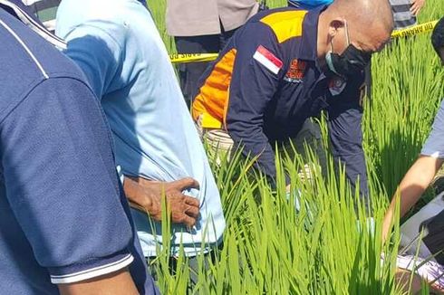 Perbaiki Jebakan Tikus, Petani di Ngawi Tewas Tersengat Aliran Listrik