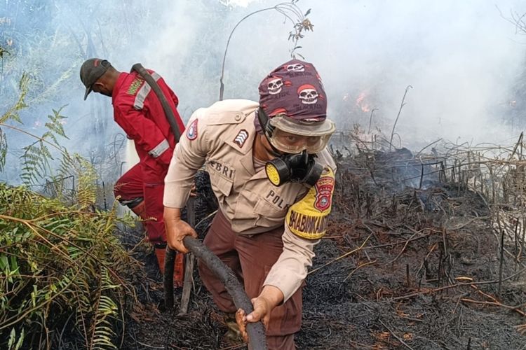 Petugas Khawatir Asap Karhutla Sampai ke Malaysia, Penyebab Diselidiki Polisi