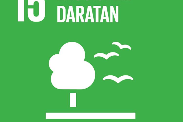 Logo tujuan 15 SDGs ekosistem daratan atau life on land.