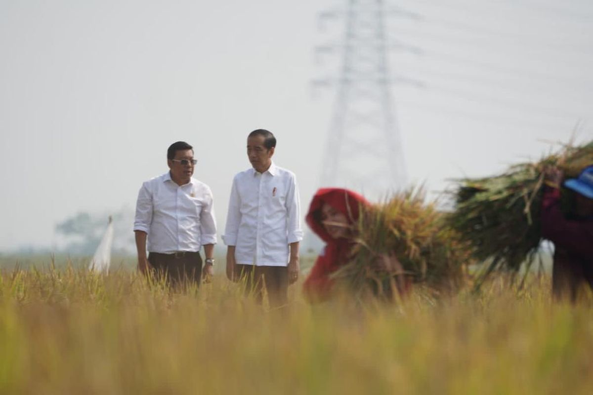 Plt Mentan Arief Prasetyo dan Presiden Jokowi di Kabupaten Subang.