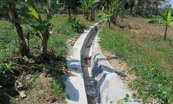 Lewat RJIT, Luas Tanam di Parung Panjang Diharapkan Bisa Bertambah