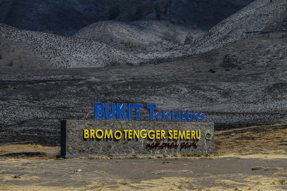 Foto udara kondisi lahan pasca kebakaran di kawasan Gunung Bromo, Probolinggo, Jawa Timur, Jumat (15/9/2023). Balai Besar Taman Nasional Bromo Tengger Semeru memastikan bahwa kebakaran yang terjadi sejak Rabu (6/9) di kawasan hutan dan lahan Gunung Bromo telah berhasil dipadamkan, diperkirakan luas area yang terbakar mencapai 500 hektare.