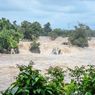 Viral, Video Warga Kupang Nekat Seberangi Sungai Saat Banjir, Hampir Terseret Arus