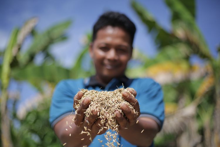 Bulog Mengawal Pangan, Menjaga Masa Depan Petani Langkat