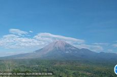 Pagi Ini, Gunung Semeru Alami Erupsi 137 Detik dengan Amplitudo 22 mm 