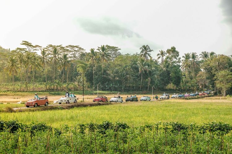 Aktivitas di Desa Wisata Karangrejo, Borobudur, Jawa Tengah