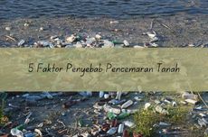 5 Faktor Penyebab Pencemaran Tanah