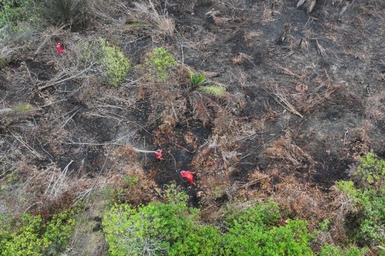 120 Hektar Lahan Gambut Terbakar di Dumai Akhirnya Padam