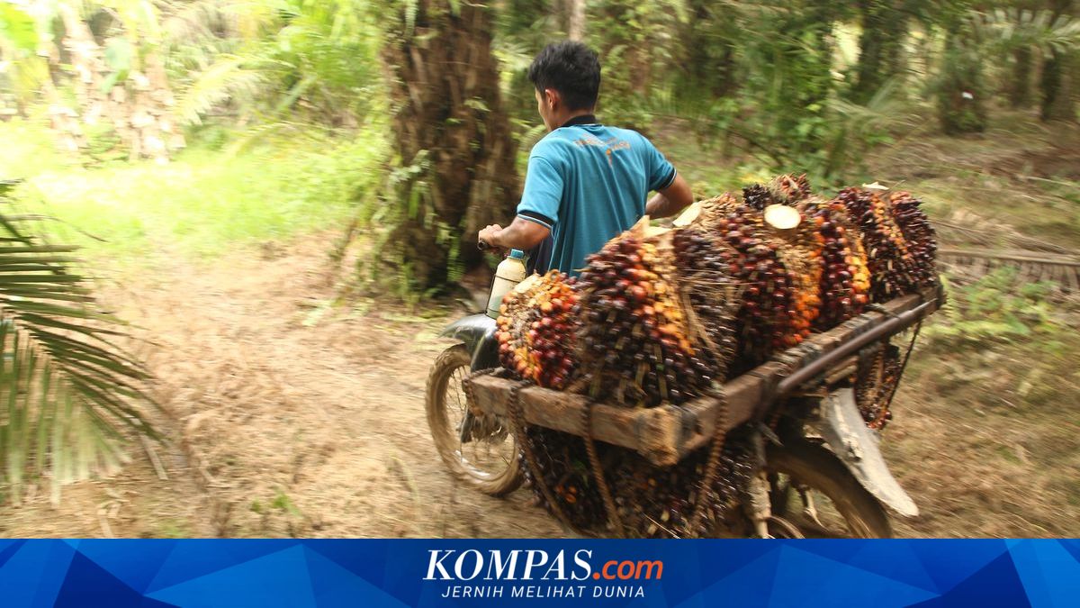 Kemenperin Perkuat Industri Kerajinan Berbasis Sawit untuk Dorong Ekonomi Sirkular