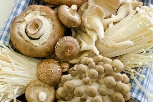 FDA di Amerika Serikat Gunakan Magic Mushroom untuk Obati Depresi
