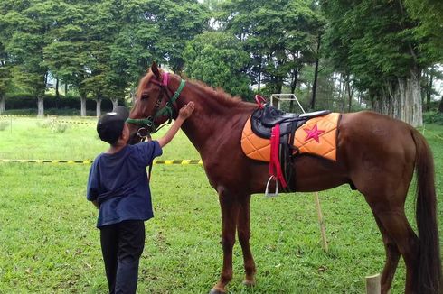 Wisata Selorejo Malang, Camping hingga Belajar Berkuda