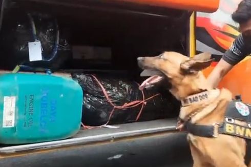 BNN Cek Urine Awak Bus dan Kerahkan 2 Anjing Pelacak di Terminal Kampung Rambutan