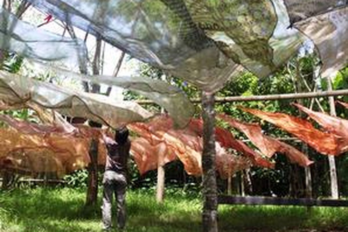 Helaian kain batik yang telah melalui proses pewarnaan dijemur di atas bentangan bambu.