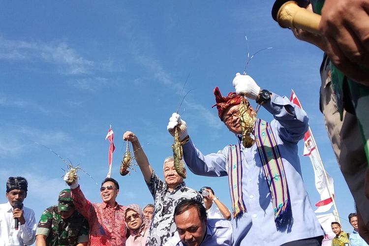 Menteri Kelautan dan Perikanan Edhy Prabowo saat mengunjungi lokasi budidaya Lobster di Lombok