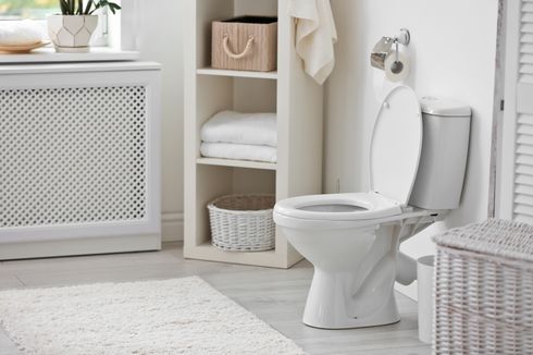 4 Bahan Alami yang Ampuh Hilangkan Noda Karat pada Toilet dan Wastafel