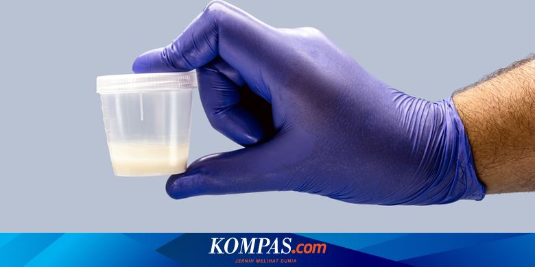 12 Cara Alami Meningkatkan Jumlah dan Kualitas Sperma