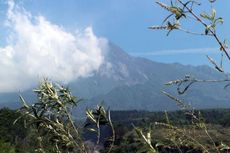 HUT RI, Pendakian Gunung Merapi Hanya sampai Pos Pasar Bubrah