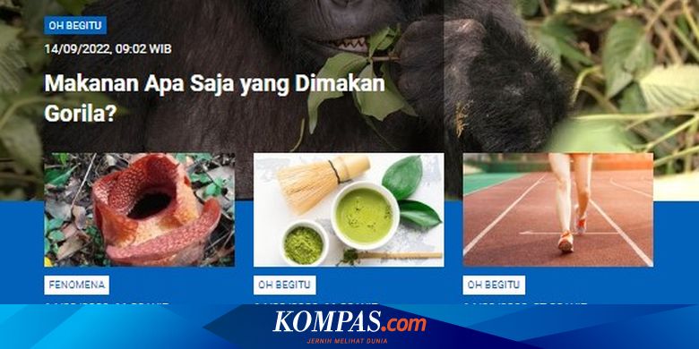 [POPULER SAINS] Makanan yang Dimakan Gorila | Rafflesia arnoldii R.Br Mekar di Luar Habitat | Matcha Mengandung Kafein - Vimarsana News