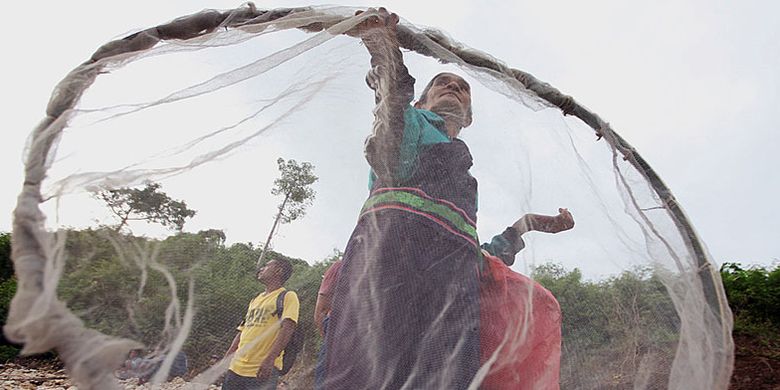 Ritus nyale atau mengambil cacing laut merupakan prosesi adat yang wajib dilalui masyarakat adat Sumba Barat Daya, Nusa Tenggara Timur, sebelum kegiatan pasola dilakukan.
