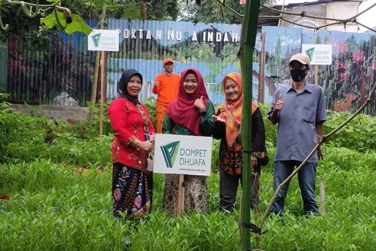 Dompet Dhuafa menggelar kegiatan Panen Raya Kebun Sehat di Kawasan Sehat Rukun Warga RW 011, Kebayoran Lama Selatan, Selasa (28/6/2022).
