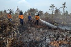 Kebun Sagu Warga Desa Binaan BRG di Kepulauan Meranti Terbakar