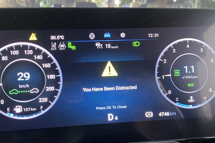 Driving Monitoring Status Camera (DMS)