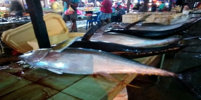 Fresh tuna fish on sale at the Biak fish market