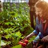 Berkebun Selama Masa Karantina Bisa Jadi Cara Hilangkan Stres