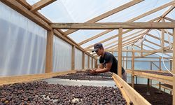 Pemberdayaan Petani Kopi Dorong Pemulihan Ekonomi di Gayo Lues, Aceh