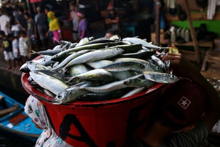 Sejumlah pedagang menggelar ikan segar dagangan mereka di kawasan pasar ikan Arumbai, Ambon, Maluku, Jumat (21/4/2018). Pasar ikan tersebut banyak dikunjungi warga sekitar kota Ambon yang ingin membeli ikan segar dengan harga relatif murah.