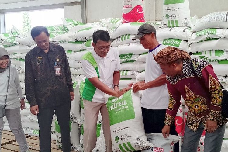 Direktur Utama Pupuk Kujang, Maryono saat menerima pembelian pupuk nonsubsidi dengan harga diskon oleh petani di Gudang Pupuk Penyangga (GPP) Prupuk, Margasari, Kabupaten Tegal, Jawa Tengah, Selasa (16/1/2024).