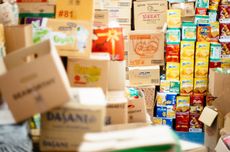 Turun ke Seblat Bengkulu, Menhut Raja Juli Pastikan Restorasi Konservasi Gajah Dimulai