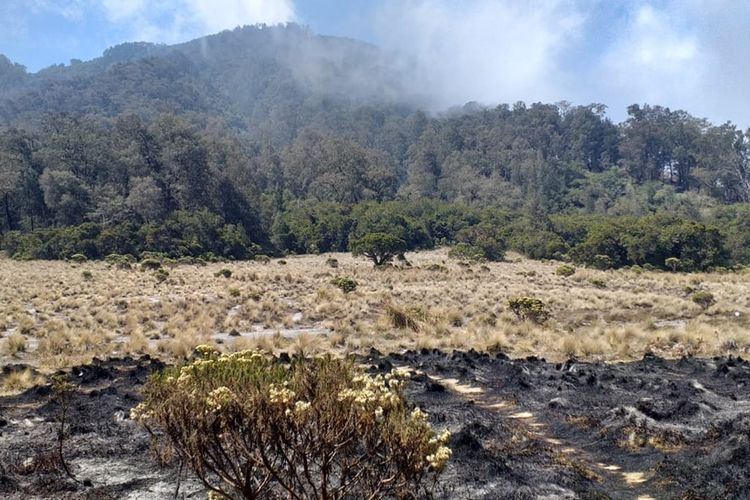 Kondisi hutan yang terbakar di Gunung Semeru, Jawa Timur, Minggu (22/9/2019)