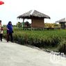 Kampung Wisata Sawah Pematang Johar, Wisata Selfie Sambil Nikmati Sawah