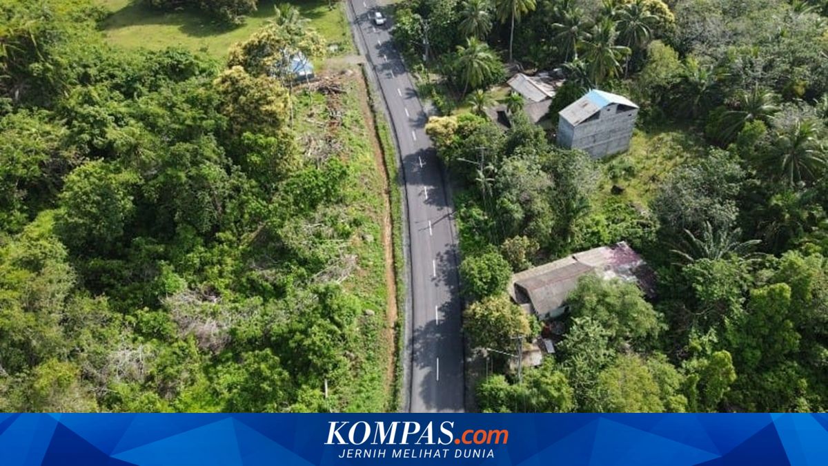Jalan Tanjung Serdang-Lontar Mulus, Distribusi Kayu Arang Ekspor Kotabaru Lancar