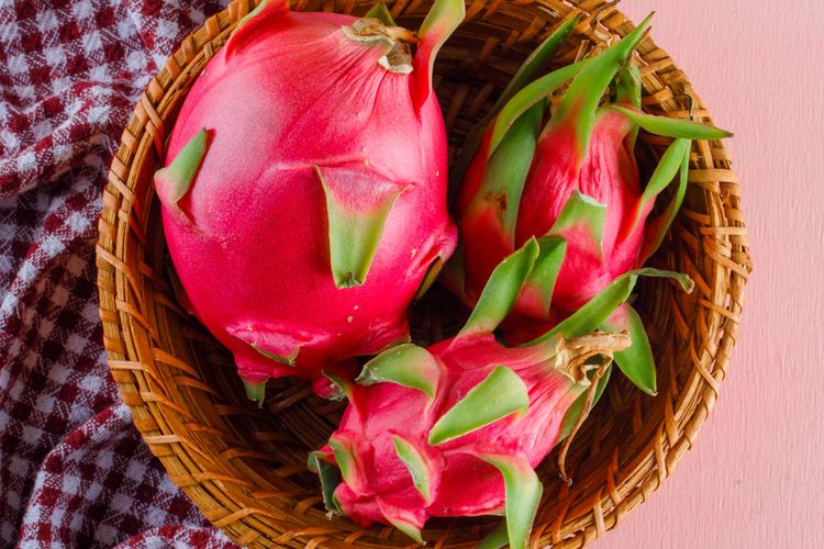 Ilustrasi buah naga. 