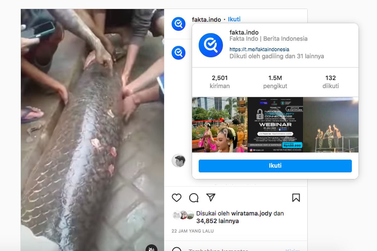 Tangkapan layar ikan raksasa Arapaima gigas yang ditemukan oleh warga Garut, Jawa Barat pasca banjir pada 16 Juli 2022