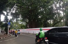 Satgas Damai Cartenz Ungkap KKB Papua Kini Didominasi Generasi Muda, Lebih Berani dan Sulit Diprediksi