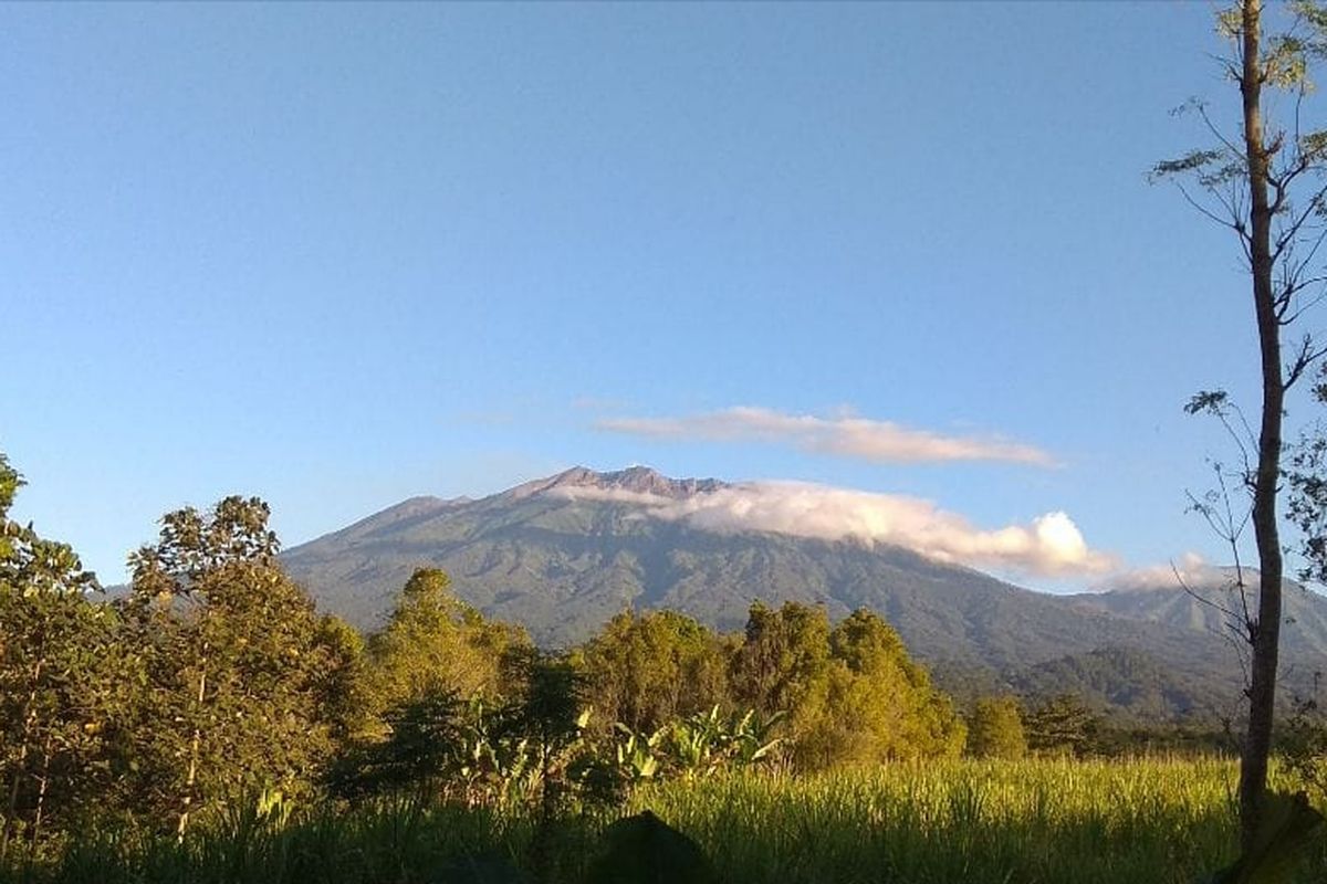 Visual Gunung Raung yang menunjukkan aktivitas fluktuatif.