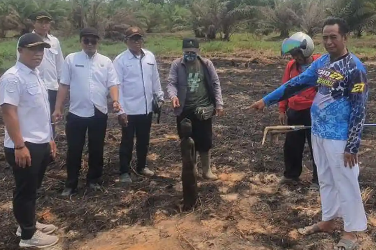 Karhutla Buka Jejak Dayak Lama di Kotim, Sapundu Muncul Setelah Semak Terbakar