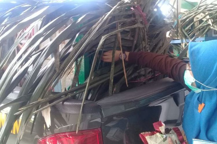 Lima orangutan dilepasliarkan di Hutan Kehje Sewen, Muara Wahau, Kutai Timur, Senin (4/12/2017).