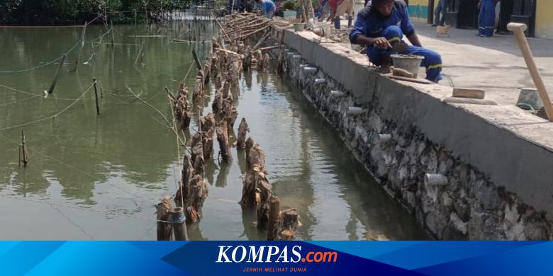Kawasan Si Pitung Andalkan Karung Pasir hingga Turap untuk Tangkal Banjir Rob - Vimarsana News