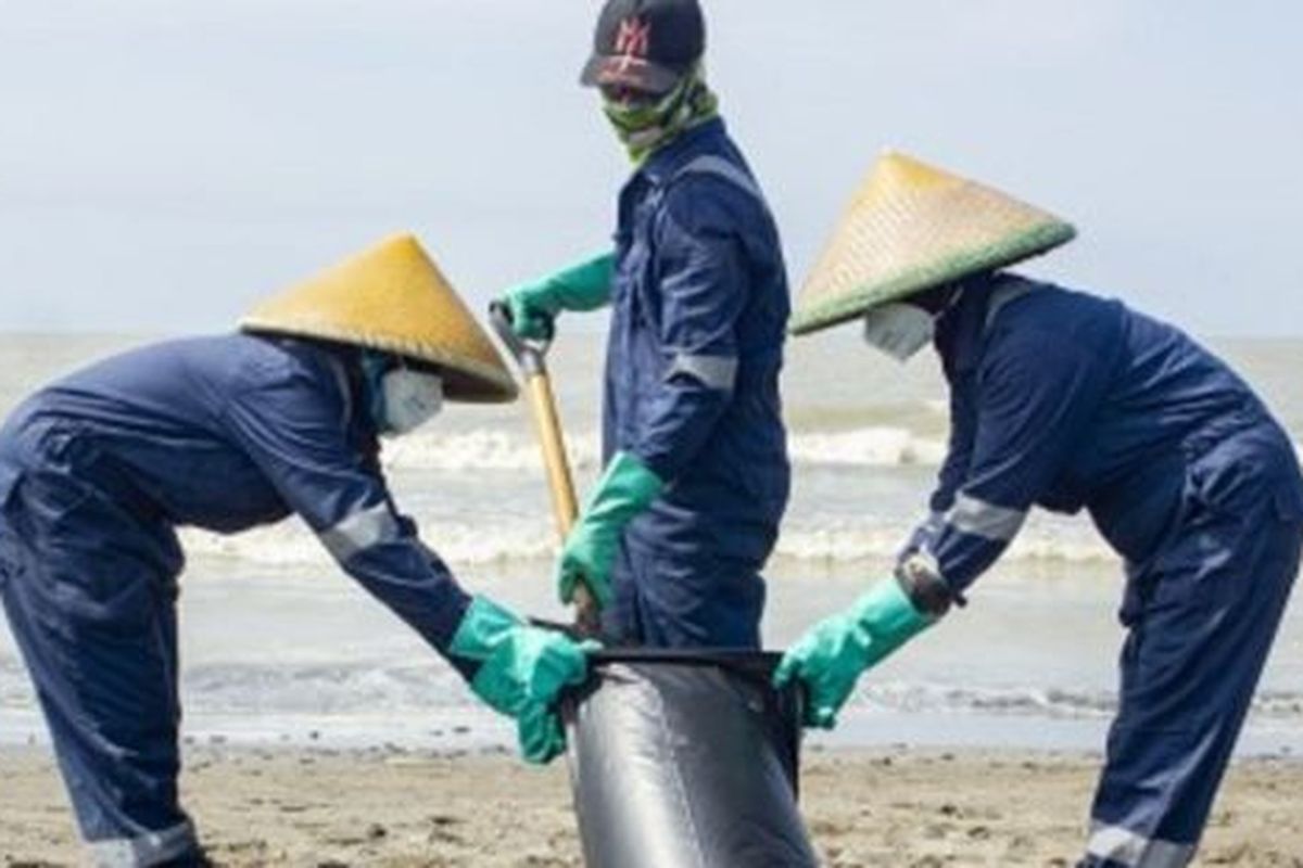 Petugas mengumpulkan tumpahan minyak mentah yang tercecer di Pesisir Pantai Mekarjaya, Karawang, Jawa Barat, Kamis (8/8/2019)