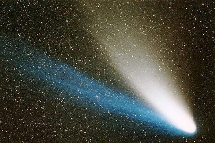 Dua ekor yang dimiliki oleh komet